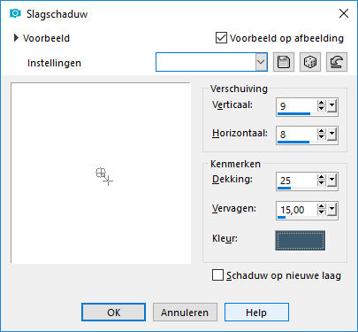 les 45 pnt 26 slagschaduw meeuw