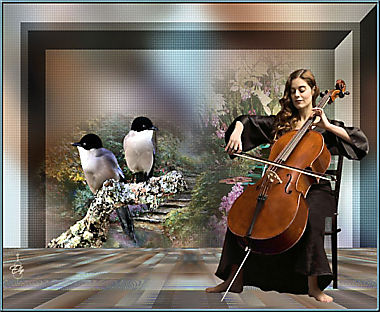 Les 50 - Music for birds