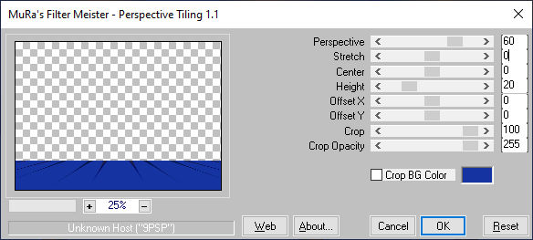 les 63 pnt 8 muras meister perspective tiling