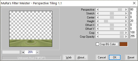 les 68   pnt 28   Muras Meister Perspective Tiling