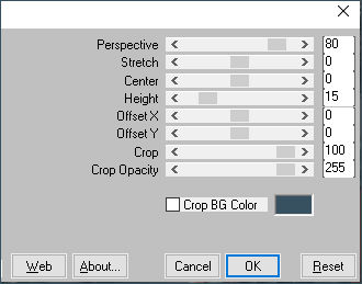 les 110 pnt 27 perspective tiling